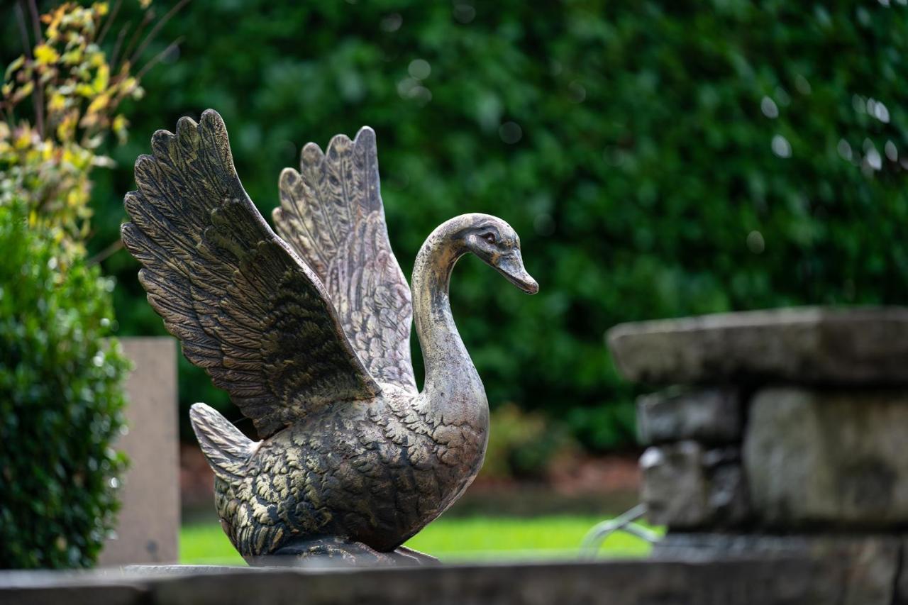 Lanelay Hall Hotel & Spa ヘンソル エクステリア 写真 The Swan